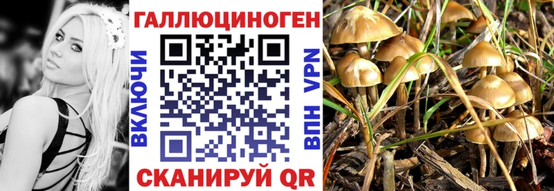 Галлюциногенные грибы мицелий  Морозовск 